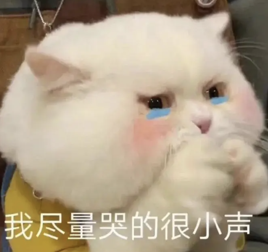 字母圈大型bdsm科普攻略: 「双属性」真的是伪S/M吗?!(干货预警) 字母圈大型bdsm科普攻略: 「双属性」真的是伪S/M吗?!(干货预警)