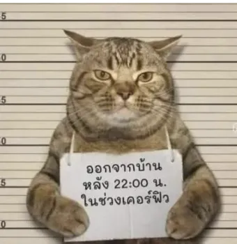 字母圈什么情况下bdsm会构成非法拘禁罪?|严肃科普 字母圈什么情况下bdsm会构成非法拘禁罪?|严肃科普