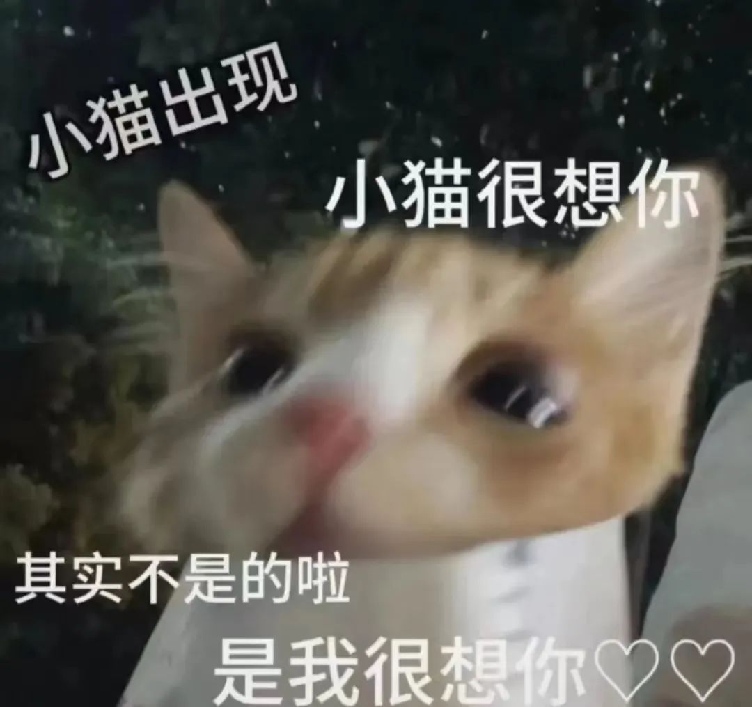 字母圈“求助:有个强烈依赖恋物癖的男友该怎么办?” 字母圈“求助:有个强烈依赖恋物癖的男友该怎么办?”