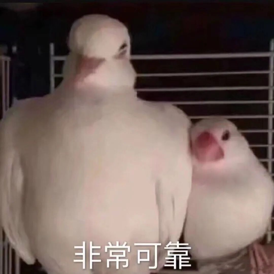 字母圈《BDSM快速沟通表》(建议实践前都填~ 字母圈《BDSM快速沟通表》(建议实践前都填~