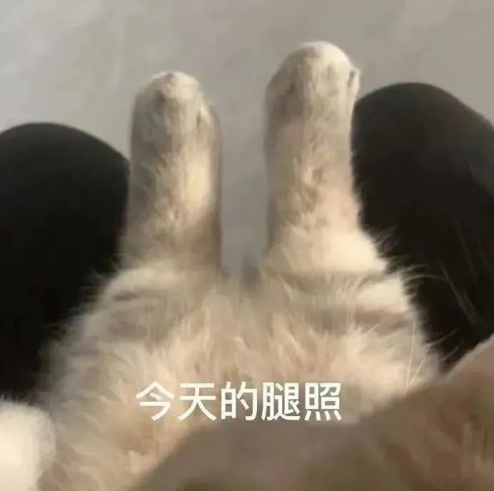 字母圈《BDSM快速沟通表》(建议实践前都填~ 字母圈《BDSM快速沟通表》(建议实践前都填~