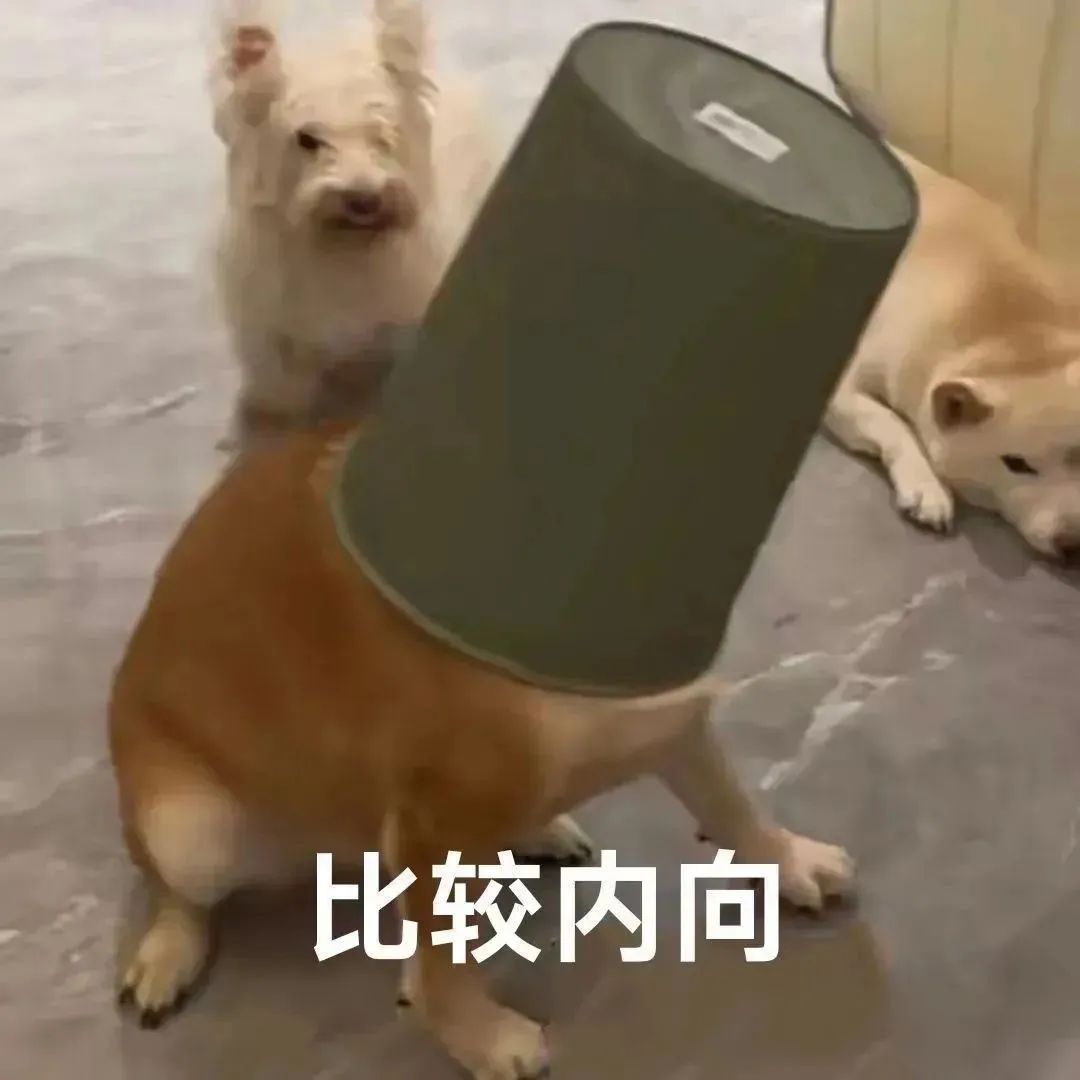 字母圈《BDSM快速沟通表》(建议实践前都填~ 字母圈《BDSM快速沟通表》(建议实践前都填~