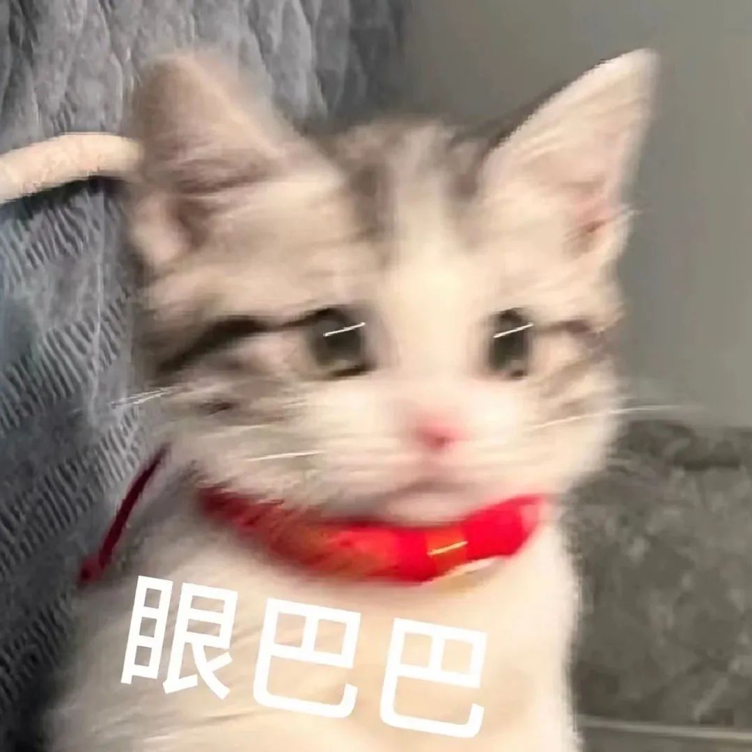 字母圈“主人没有给我戴上锁链,却将我牵得更紧” 字母圈“主人没有给我戴上锁链,却将我牵得更紧”