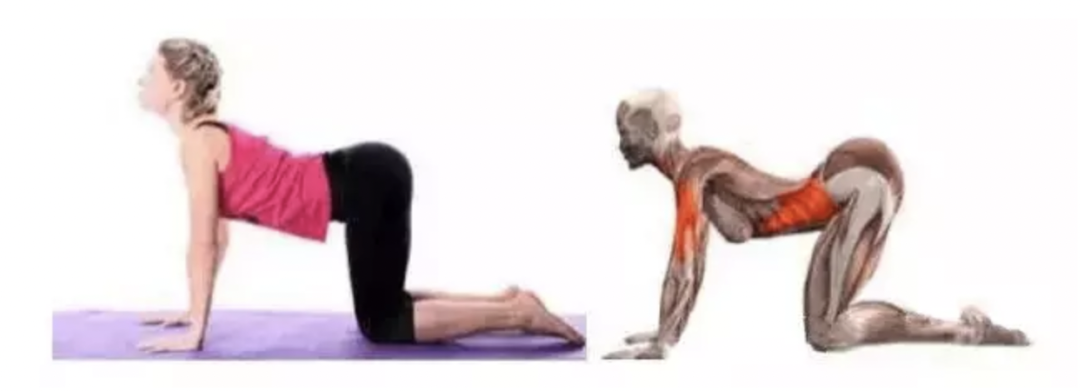 字母圈最“BT”的S,都在惩罚M“练瑜伽” 字母圈最“BT”的S,都在惩罚M“练瑜伽”