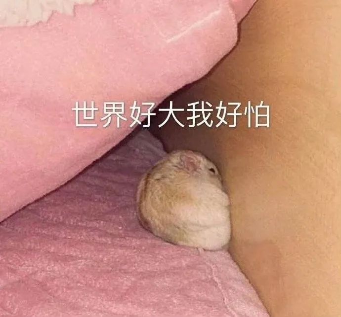 字母圈【sub必看】“dom不靠谱”的3条早识别信号 字母圈【sub必看】“dom不靠谱”的3条早识别信号