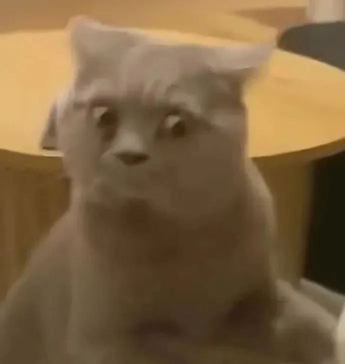 字母圈“我的xp竟是…我自己?!” 字母圈“我的xp竟是…我自己?!”