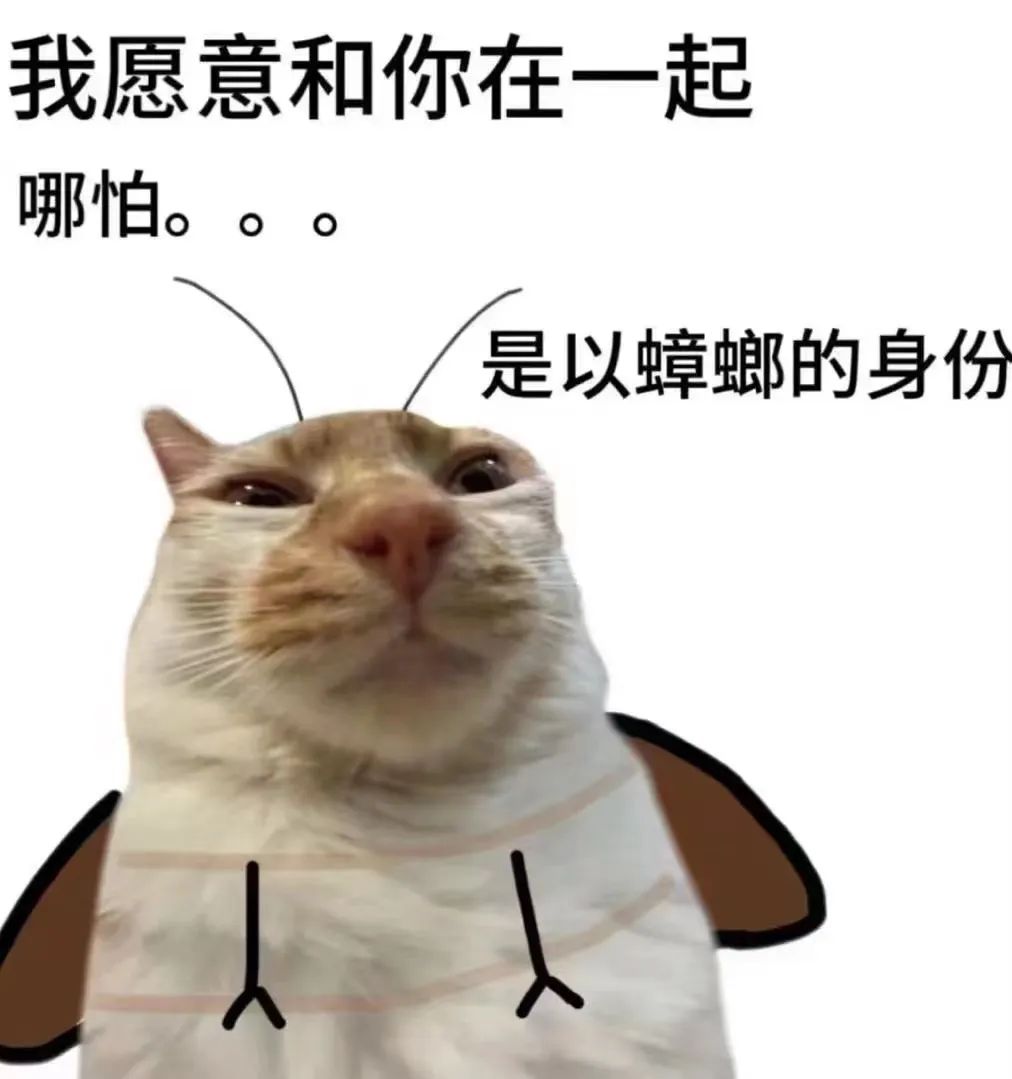 字母圈“我的xp竟是…我自己?!” 字母圈“我的xp竟是…我自己?!”