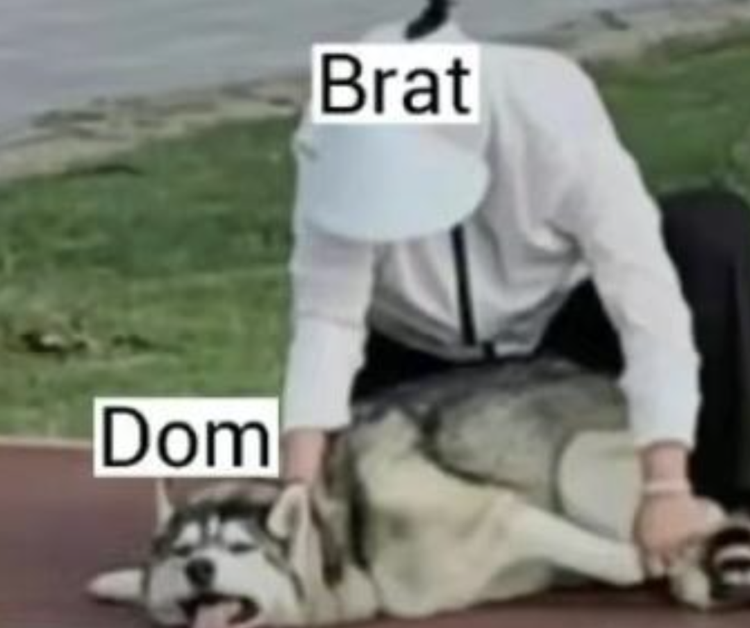 字母圈大型bdsm科普攻略: 「双属性」真的是伪S/M吗?!(干货预警) 字母圈大型bdsm科普攻略: 「双属性」真的是伪S/M吗?!(干货预警)