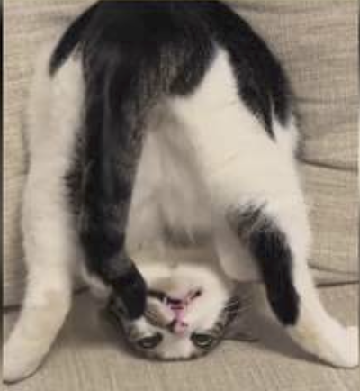 字母圈M娱乐指南:如何变得更加抗揍? 字母圈M娱乐指南:如何变得更加抗揍?