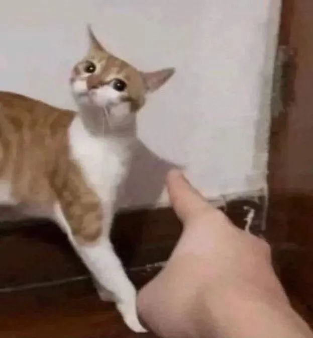 字母圈“求助:有个强烈依赖恋物癖的男友该怎么办?” 字母圈“求助:有个强烈依赖恋物癖的男友该怎么办?”