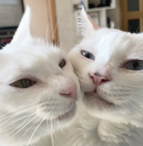 字母圈“为什么我在bdsm中极度讨厌使用「安全词」?” 字母圈“为什么我在bdsm中极度讨厌使用「安全词」?”