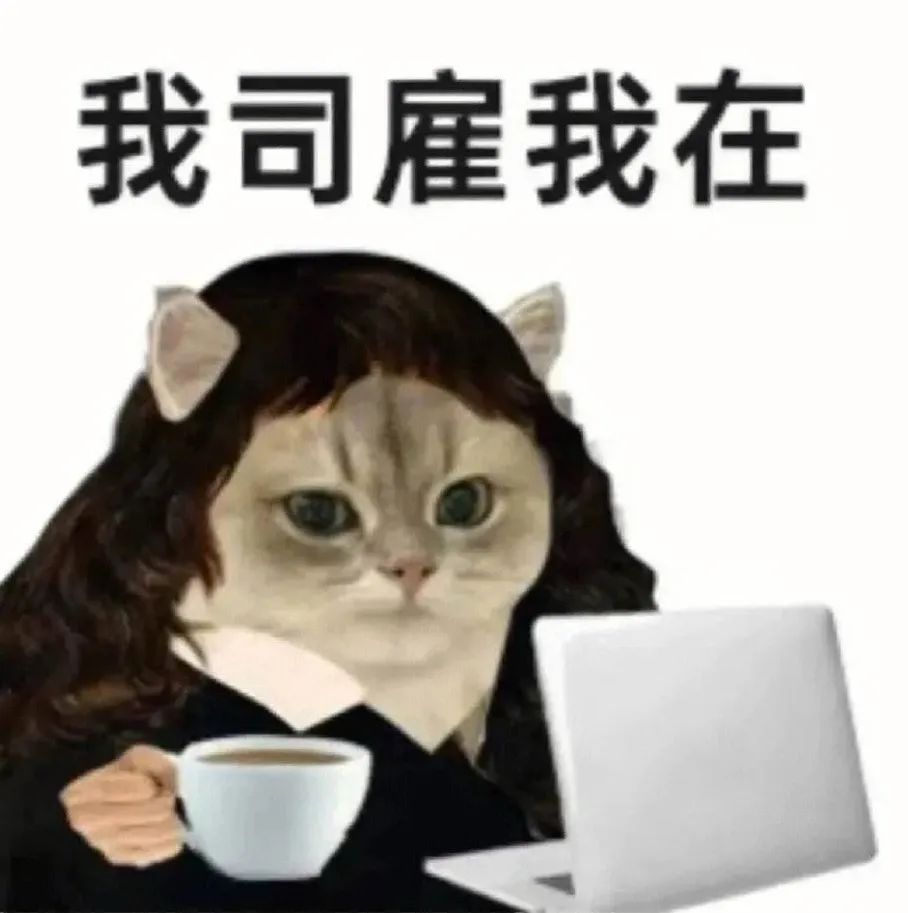 字母圈【sub必看】“dom不靠谱”的3条早识别信号 字母圈【sub必看】“dom不靠谱”的3条早识别信号