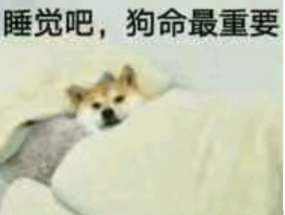 字母圈据说能“颅内高潮”的瑟瑟催眠,我帮你们试了…… 字母圈据说能“颅内高潮”的瑟瑟催眠,我帮你们试了……