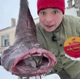 字母圈M自评表,会让体验更好or更糟? 字母圈M自评表,会让体验更好or更糟?