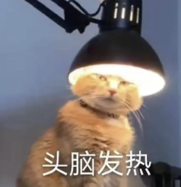 字母圈志愿报什么专业,能在play时“鲨疯了”? 字母圈志愿报什么专业,能在play时“鲨疯了”?