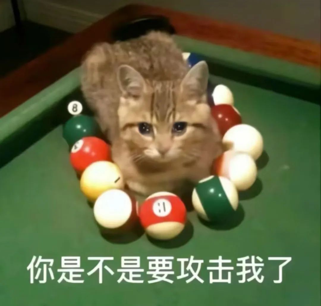 字母圈为何“关系越有害,有人却越爱”? 字母圈为何“关系越有害,有人却越爱”?