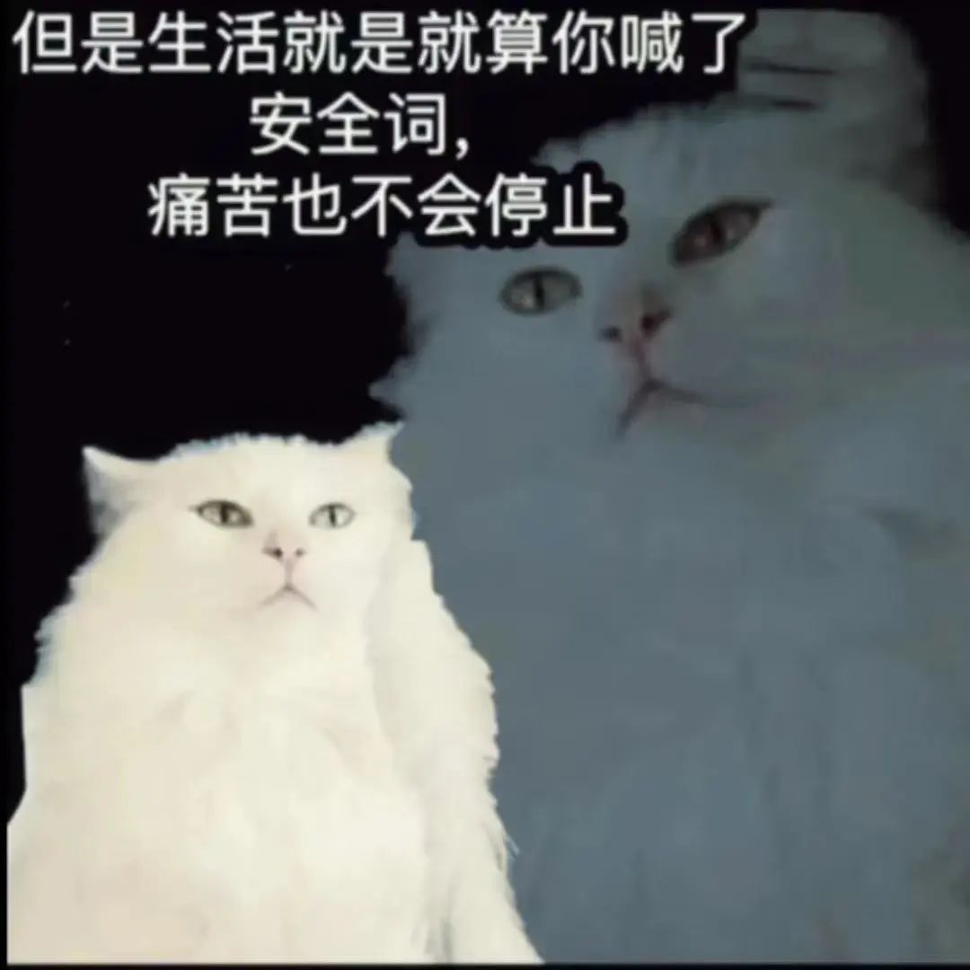 字母圈为何“关系越有害,有人却越爱”? 字母圈为何“关系越有害,有人却越爱”?