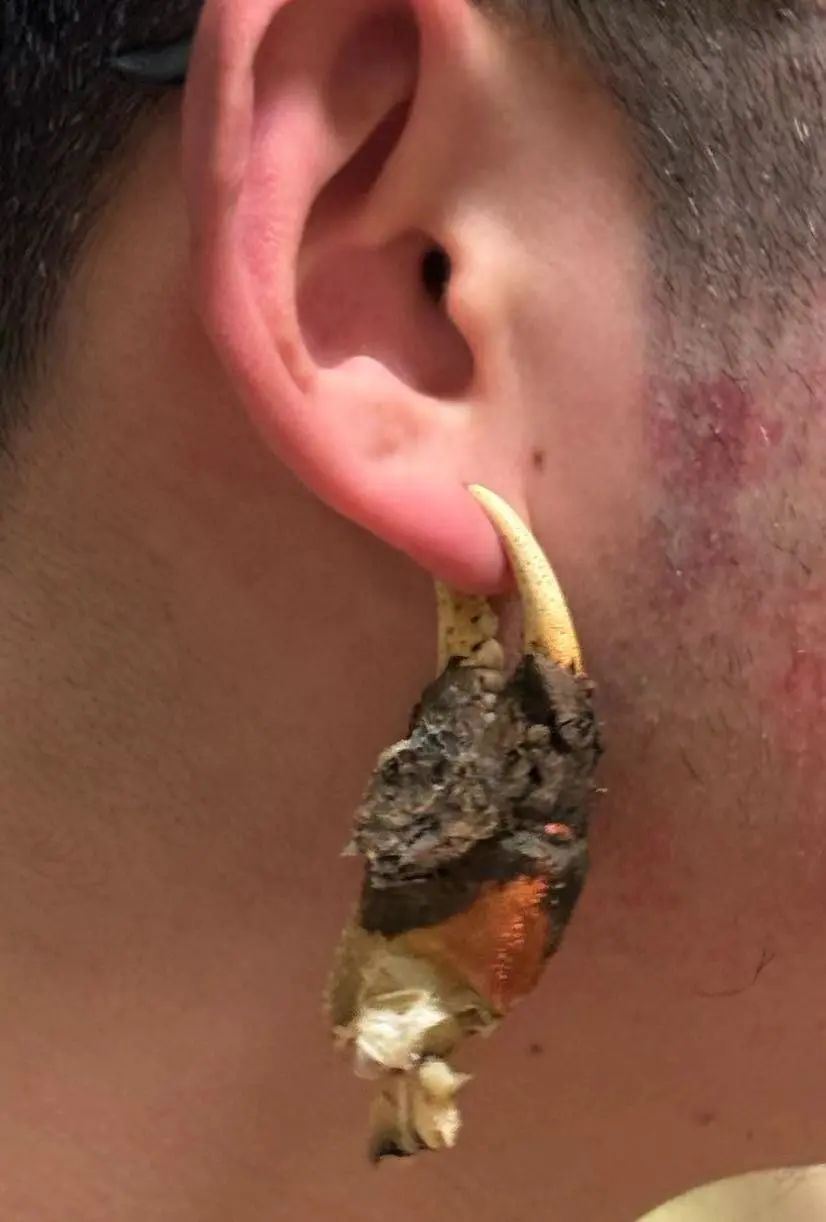 字母圈谁家好S会用大闸蟹钳子当夹子啊?!!! 字母圈谁家好S会用大闸蟹钳子当夹子啊?!!!