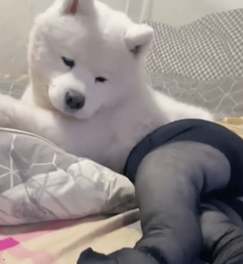 字母圈大型bdsm科普:寸止play——恰到好处的艺术(纯干货) 字母圈大型bdsm科普:寸止play——恰到好处的艺术(纯干货)