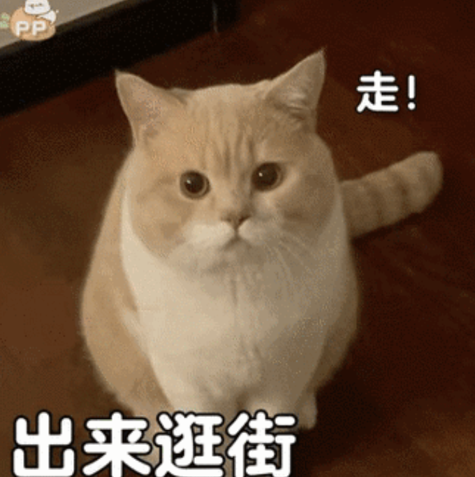 字母圈当他跪在妻子脚边,大喊:“oh,我的女王!” 字母圈当他跪在妻子脚边,大喊:“oh,我的女王!”