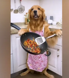 字母圈为了教你Aftercare,我研发了一种很小众的“爆炒”文学 字母圈为了教你Aftercare,我研发了一种很小众的“爆炒”文学