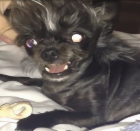 字母圈不要找爱放响屁的S(*_* ) 字母圈不要找爱放响屁的S(*_* )