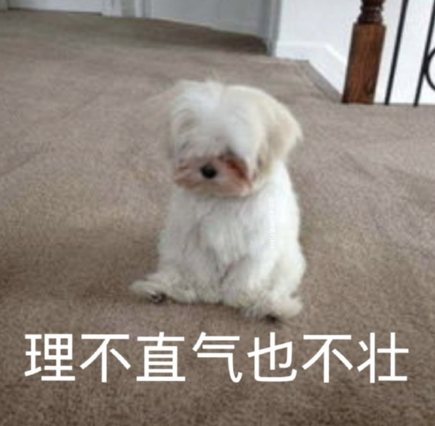 字母圈“跪下,我要和你认个错•᷄ࡇ•᷅ ” 字母圈“跪下,我要和你认个错•᷄ࡇ•᷅ ”