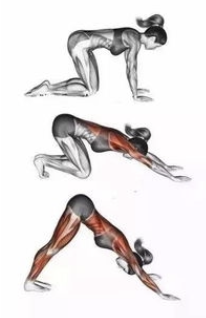 字母圈最“BT”的S,都在惩罚M“练瑜伽” 字母圈最“BT”的S,都在惩罚M“练瑜伽”