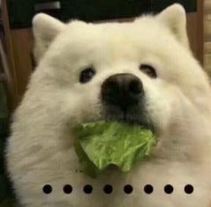 字母圈最“BT”的S,都在惩罚M“练瑜伽” 字母圈最“BT”的S,都在惩罚M“练瑜伽”