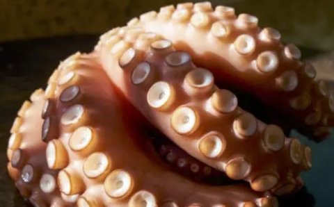 字母圈触手怪XP,是如何越来越瑟的? 字母圈触手怪XP,是如何越来越瑟的?