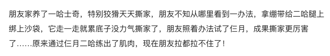 字母圈最“BT”的S,都在惩罚M“练瑜伽” 字母圈最“BT”的S,都在惩罚M“练瑜伽”