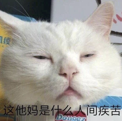 字母圈M自评表,会让体验更好or更糟? 字母圈M自评表,会让体验更好or更糟?