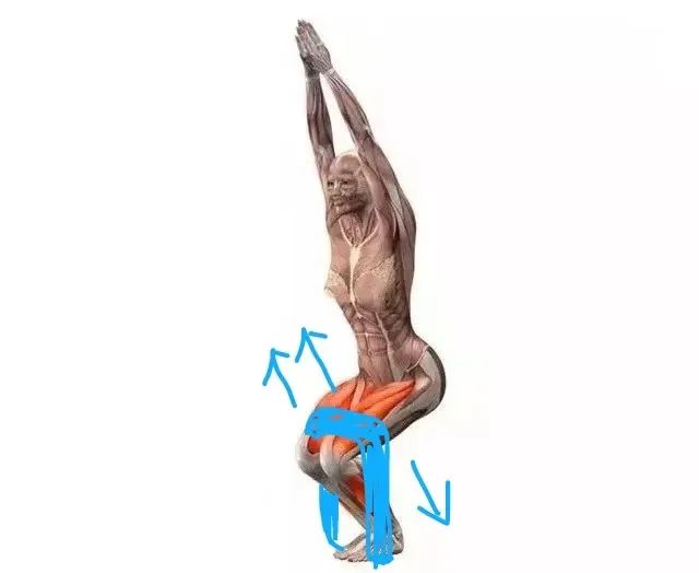 字母圈M娱乐指南:如何变得更加抗揍? 字母圈M娱乐指南:如何变得更加抗揍?