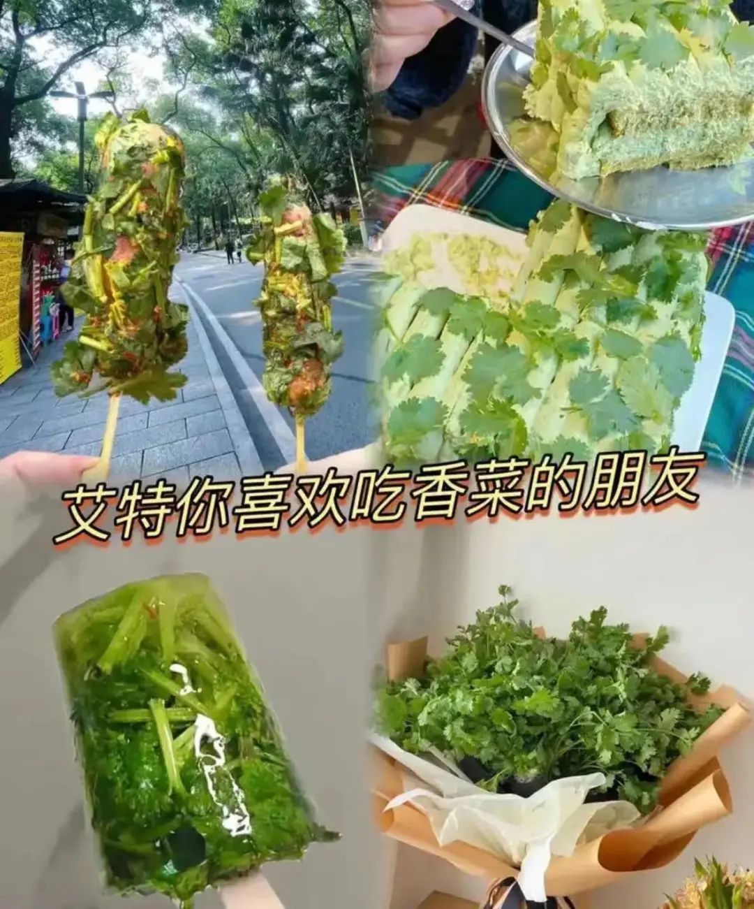 字母圈谁家好S会用大闸蟹钳子当夹子啊?!!! 字母圈谁家好S会用大闸蟹钳子当夹子啊?!!!