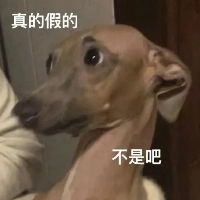 字母圈“我们是什么关系？”为何会成为“最好用安全词”