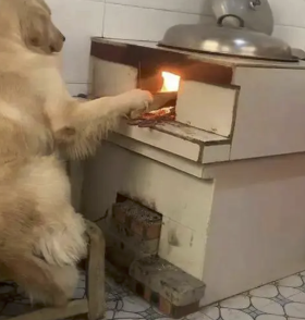 字母圈为了教你Aftercare,我研发了一种很小众的“爆炒”文学 字母圈为了教你Aftercare,我研发了一种很小众的“爆炒”文学