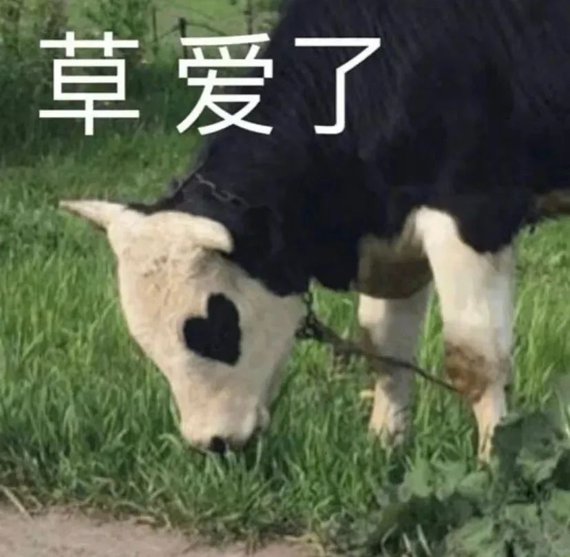 字母圈《BDSM快速沟通表》(建议实践前都填~ 字母圈《BDSM快速沟通表》(建议实践前都填~