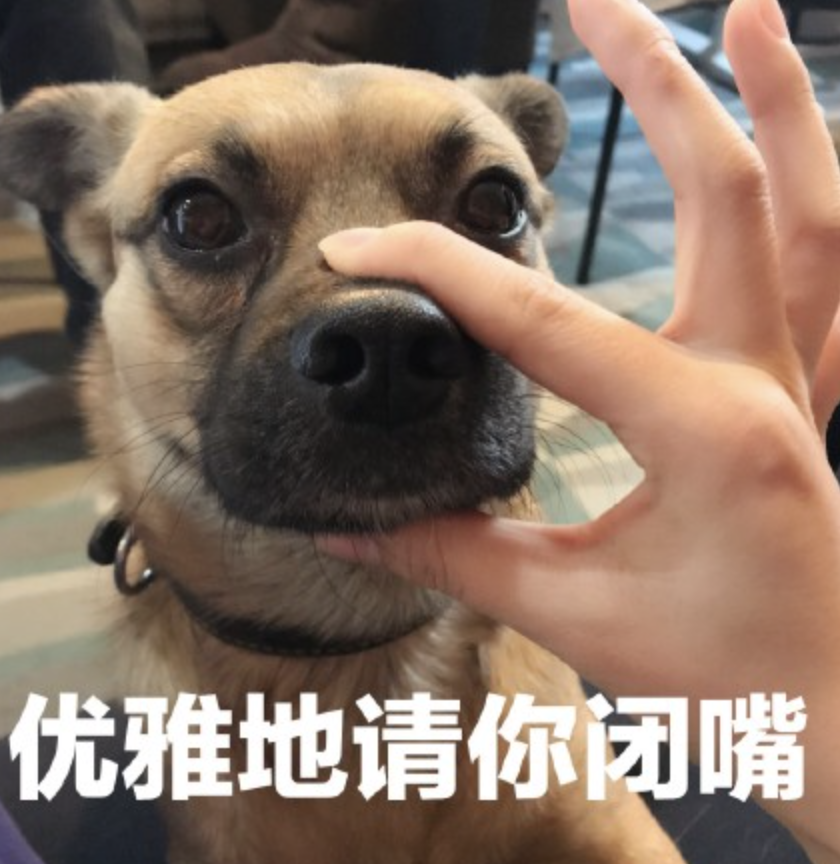 字母圈“跪下,我要和你认个错•᷄ࡇ•᷅ ” 字母圈“跪下,我要和你认个错•᷄ࡇ•᷅ ”