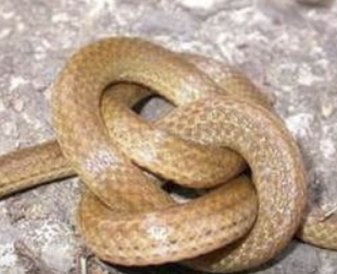 字母圈最“BT”的S,都在惩罚M“练瑜伽” 字母圈最“BT”的S,都在惩罚M“练瑜伽”