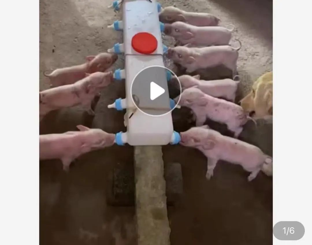 字母圈玩腻了宠物play,“畜牧农场”play考虑一下? 字母圈玩腻了宠物play,“畜牧农场”play考虑一下?