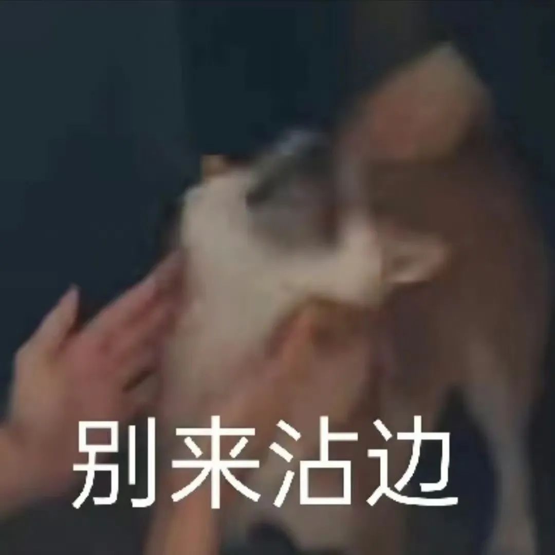 字母圈为何“关系越有害,有人却越爱”? 字母圈为何“关系越有害,有人却越爱”?