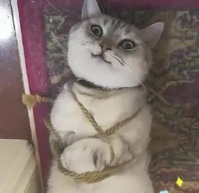 字母圈什么情况下bdsm会构成非法拘禁罪?|严肃科普 字母圈什么情况下bdsm会构成非法拘禁罪?|严肃科普