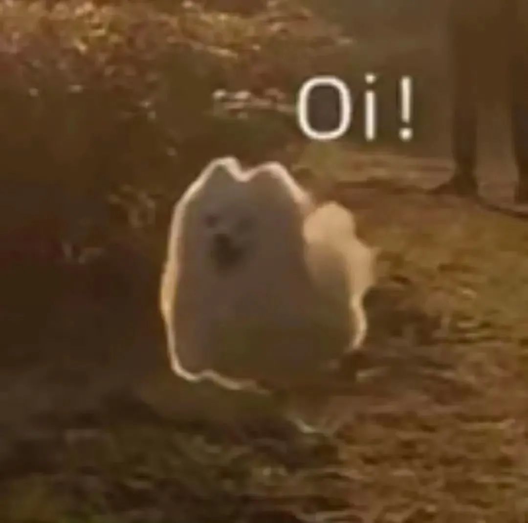 字母圈“包裹我、压住我~” 字母圈“包裹我、压住我~”