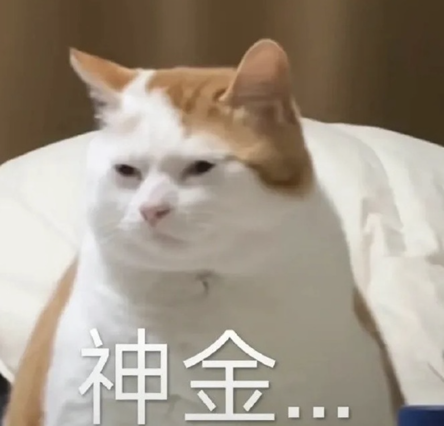 字母圈“小狗糖” 字母圈“小狗糖”