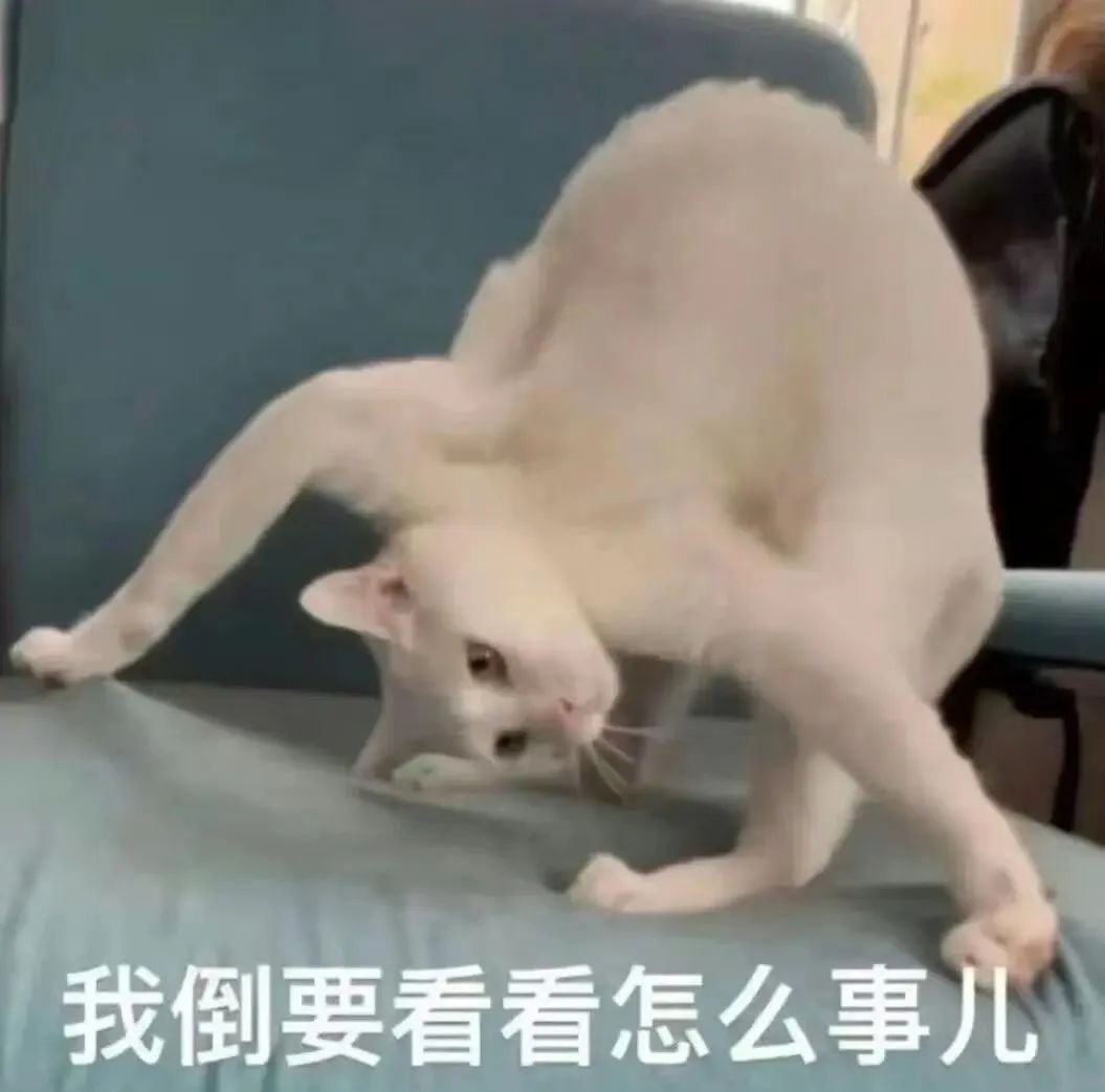 字母圈《BDSM快速沟通表》(建议实践前都填~ 字母圈《BDSM快速沟通表》(建议实践前都填~