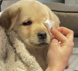 字母圈不想do的女生,是“阴萎”了吗?|豆瓣9.4的成人性教育动画 字母圈不想do的女生,是“阴萎”了吗?|豆瓣9.4的成人性教育动画