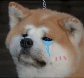 字母圈女M们,正在服“缺爱”役 字母圈女M们,正在服“缺爱”役