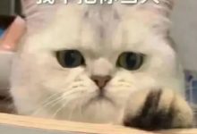 字母圈“养成系”可太香啦~~~-瘾欢