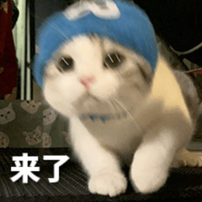 字母圈M自评表,会让体验更好or更糟? 字母圈M自评表,会让体验更好or更糟?