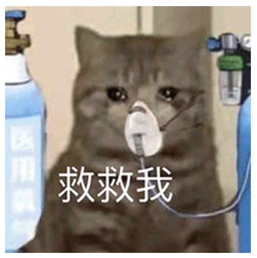 字母圈“我已经习惯了自己解决所有问题,又非常向往当一个little girl,怎么办?”|奇怪问题解答 字母圈“我已经习惯了自己解决所有问题,又非常向往当一个little girl,怎么办?”|奇怪问题解答